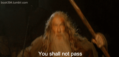 you shall not pass the lord of the rings GIF-downsized